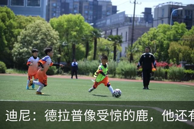 迪尼：德拉普像受惊的鹿，他还有很多工作要做