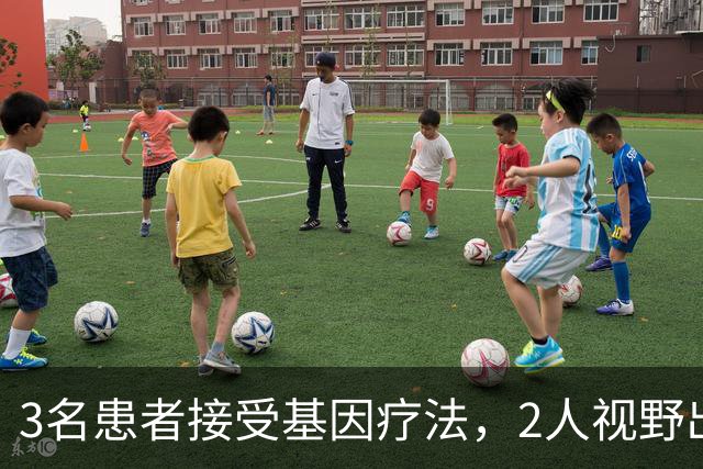 3名患者接受基因疗法，2人视野出现改善